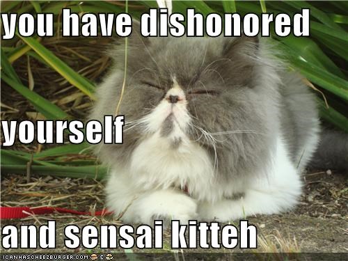 you have dishonored  yourself and sensai kitteh