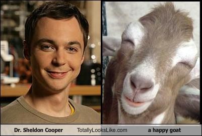 Dr. Sheldon Cooper Totally Looks Like a happy goat