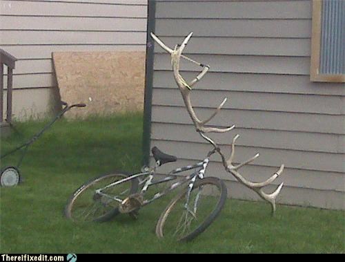 We Never Trick Moose And Squirrel With This