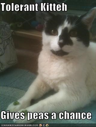 Tolerant Kitteh  Gives peas a chance