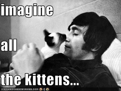 imagine all  the kittens...