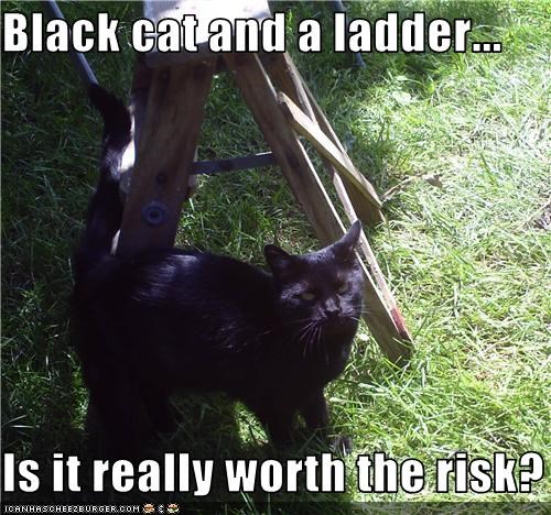 Black cat and a ladder...  Is it really worth the risk?
