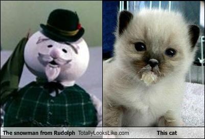 The snowman from Rudolph Totally Looks Like This cat
