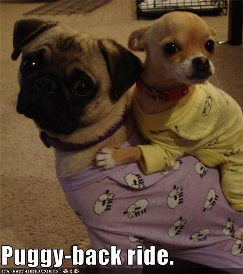 Puggy-back ride.