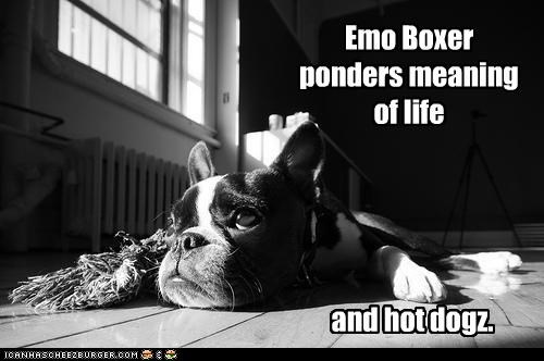 Emo Boxer ponders meaning of life