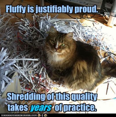 Fluffy is justifiably proud.