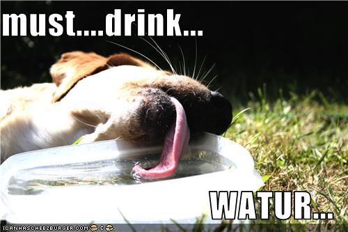 must....drink...  WATUR...
