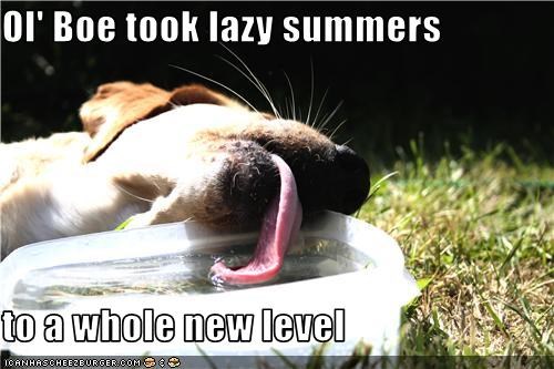 Ol' Boe took lazy summers  to a whole new level