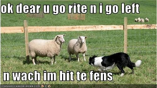 ok dear u go rite n i go left   n wach im hit te fens