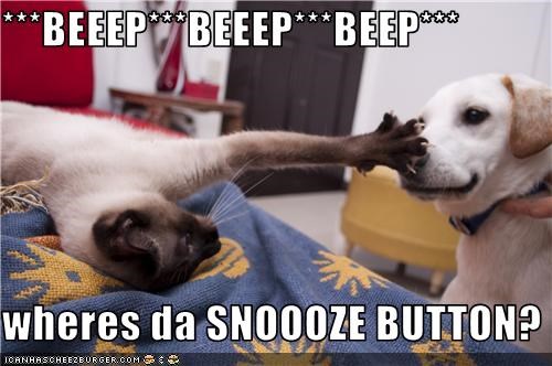***BEEEP***BEEEP***BEEP***  wheres da SNOOOZE BUTTON?