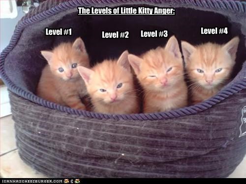 The Levels of Little Kitty Anger:
