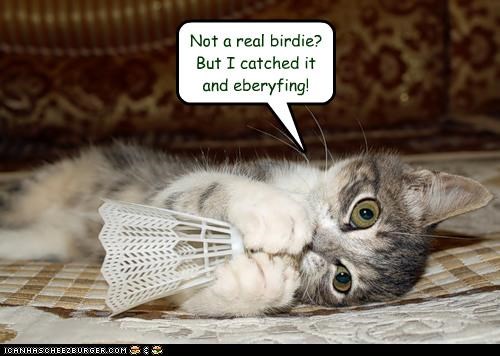 Not a real birdie?  But I catched it and eberyfing!