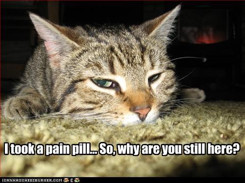 I took a pain pill... So, why are you still here?