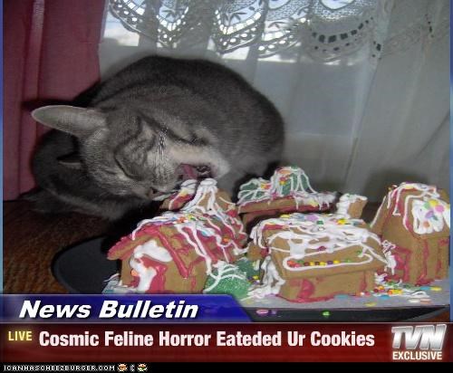 News Bulletin - Cosmic Feline Horror Eateded Ur Cookies