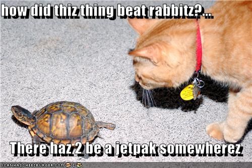 how did thiz thing beat rabbitz?...  There haz 2 be a jetpak somewherez