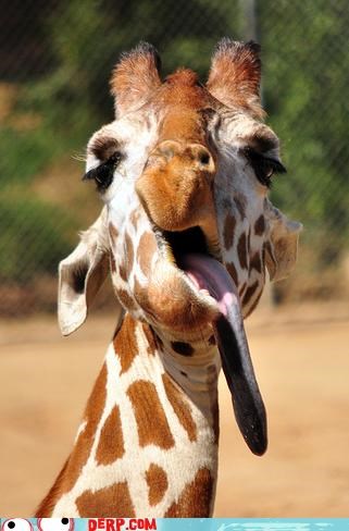 See? I Could Touch My Eye With My Tongue