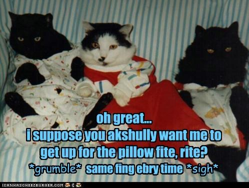 oh great...
i suppose you akshully want me to 
get up for the pillow fite, rite?