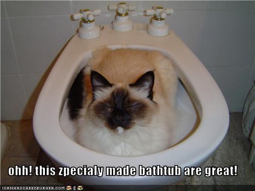 ohh! this zpecialy made bathtub are great!