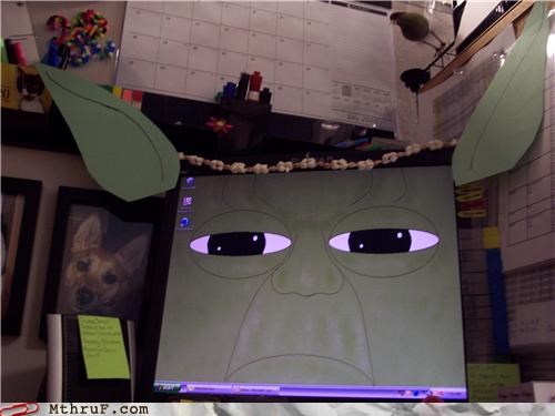 Yoda Screen