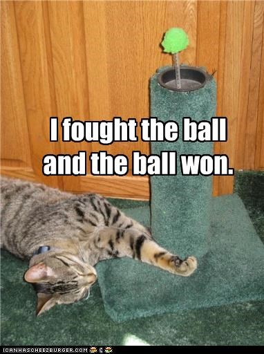 I fought the ball and the ball won.