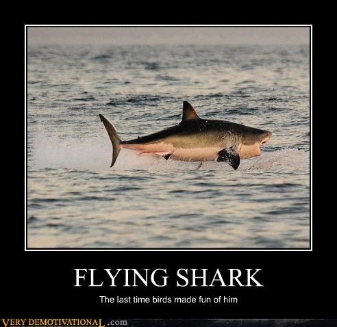 FLYING SHARK