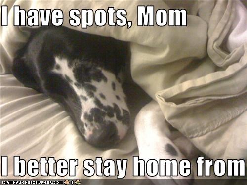 I have spots, Mom  I better stay home from school
