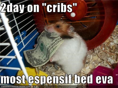 2day on "cribs"  most espensif bed eva