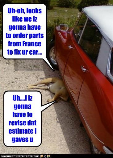 Uh-oh, looks like we iz gonna have to order parts from France to fix ur car...