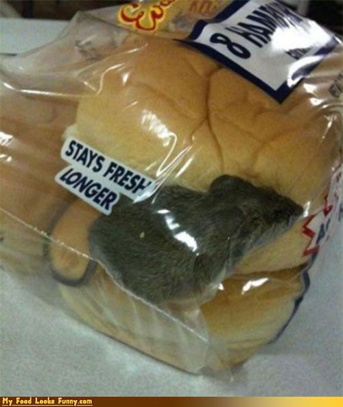 Does the Mouse Keep it Fresh?