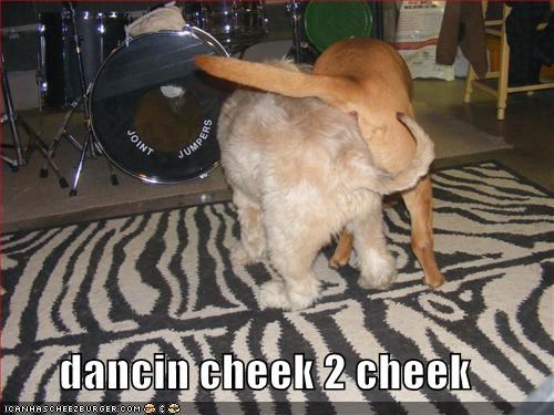 dancin cheek 2 cheek