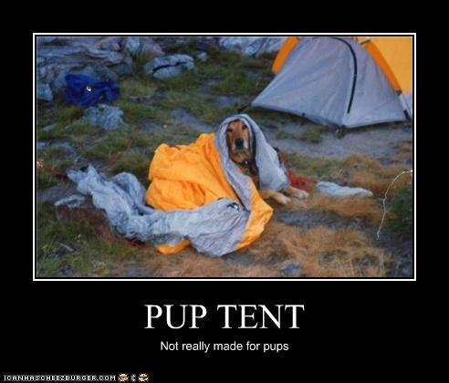 PUP TENT