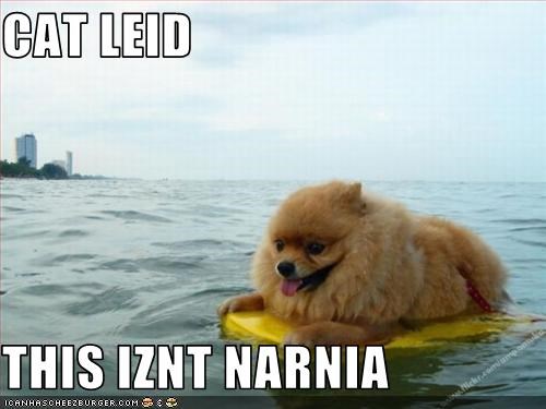 CAT LEID  THIS IZNT NARNIA