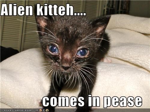 Alien kitteh....  comes in pease