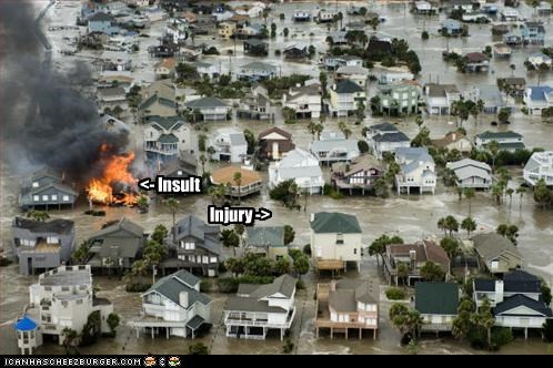 <- Insult