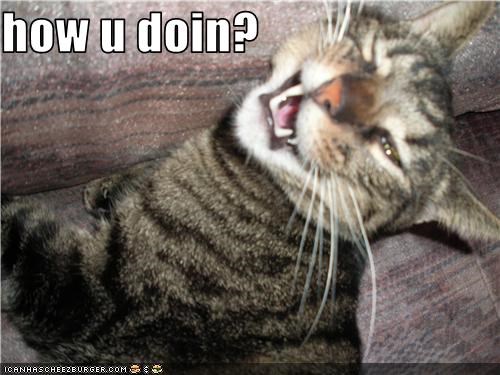 how u doin?