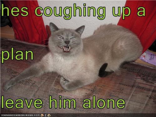 hes coughing up a plan leave him alone