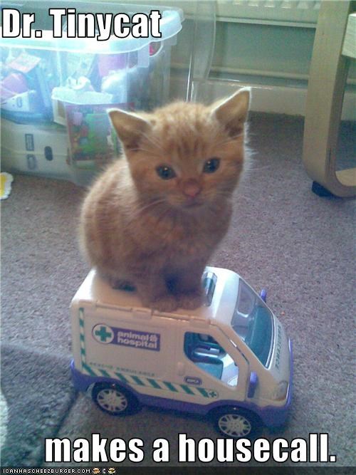 Dr. Tinycat  makes a housecall.