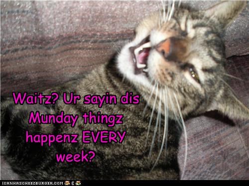 Waitz? Ur sayin dis Munday thingz happenz EVERY week?