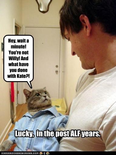 Hey, wait a minute! You're not Willy! And what have you done with Kate?!