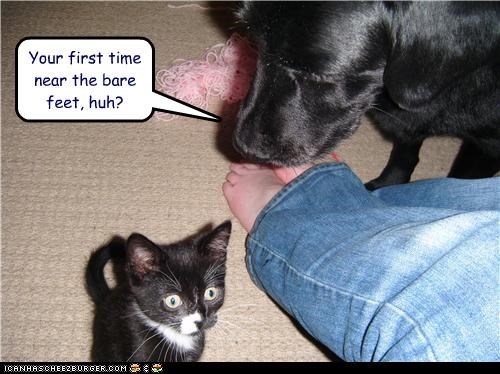 Your first time near the bare feet, huh?