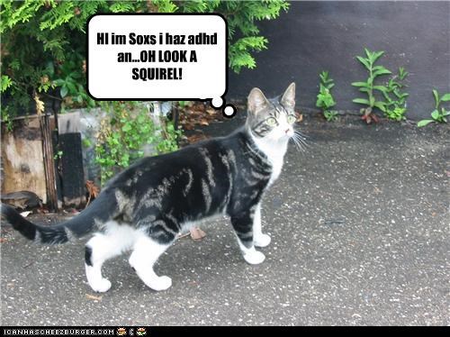 I haz adh... LOK A SQUIREL!