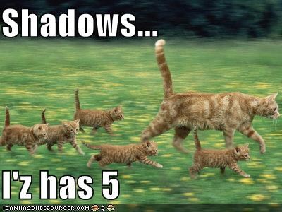 Shadows...  I'z has 5