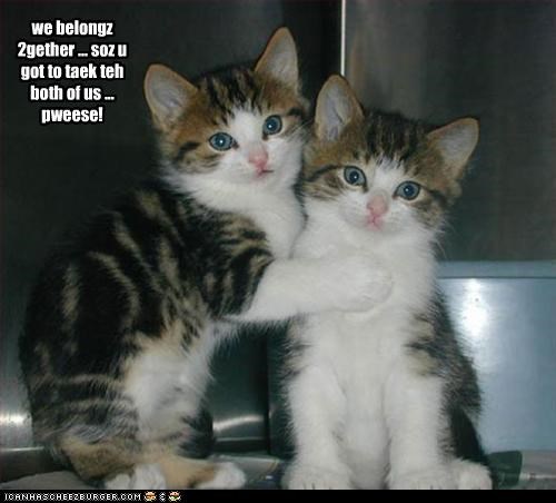 we belongz ...