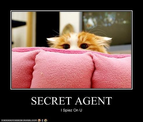 SECRET AGENT