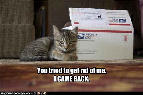 You tried to get rid of me.  I CAME BACK.
