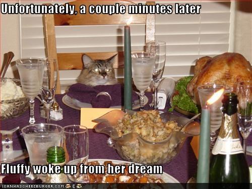 Unfortunately, a couple minutes later  Fluffy woke up from her dream