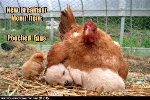 New  Breakfast  Menu  Item: