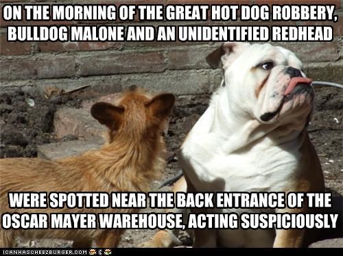 ON THE MORNING OF THE GREAT HOT DOG ROBBERY, BULLDOG MALONE AND AN UNIDENTIFIED REDHEAD         WERE SPOTTED NEAR THE BACK ENTRANCE OF THE OSCAR MAYER WAREHOUSE, ACTING SUSPICIOUSLY .