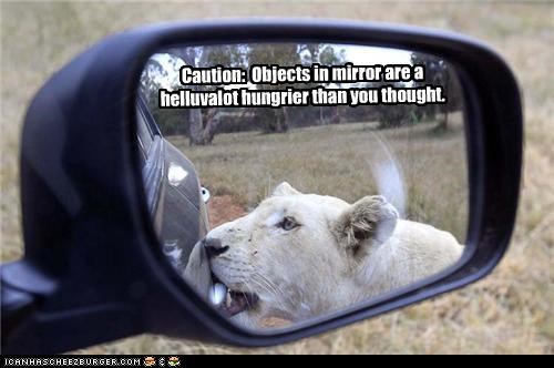 Caution:  Objects in mirror are a helluvalot hungrier than you thought.