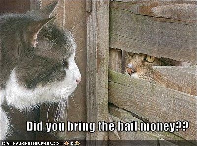 Did you bring the bail money??